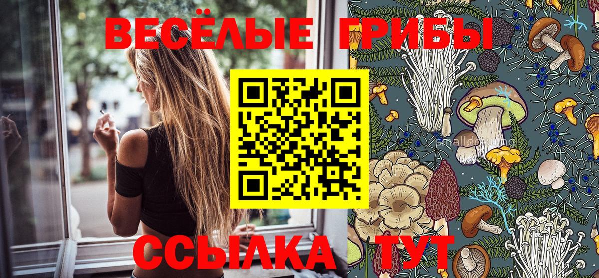 Галлюциногенные грибы MAGIC MUSHROOMS  Псилоцибиновые грибы Magic Shrooms  купить  сайты  Вход с VPN  Кохма 